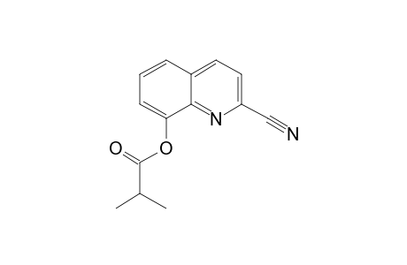 2-Carbonitrile-8-hydroxyquinoline, 2-methylpropionate