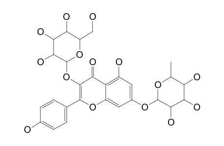 KAEMPFEROL-3-O-BETA-D-GLUCOPYRANOSIDE-7-O-ALPHA-L-RHAMNOPYRANOSIDE