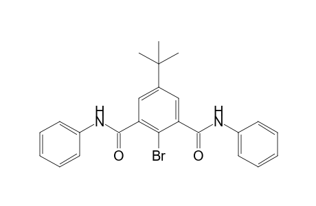 2-bromanyl-5-tert-butyl-N1,N3-diphenyl-benzene-1,3-dicarboxamide