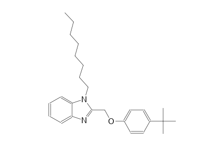 2-[(4-tert-butylphenoxy)methyl]-1-octyl-1H-benzimidazole