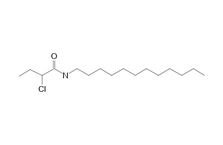 Butyramide, 2-chloro-N-dodecyl-