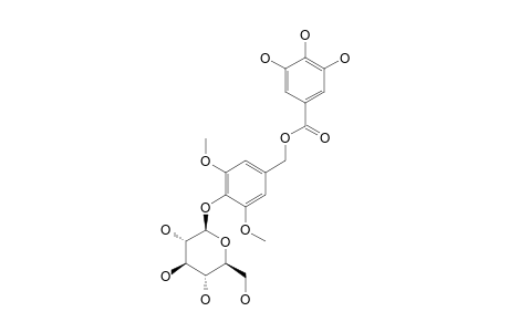 SYMCOMOSIDE-A;[1-[(3,4,5-TRIHYDROXYBENZOYLOXY)-METHYL]-3,5-DIMETHOXYPHENYL-4-OXY-4-O-BETA-D-GLUCOPYRANOSIDE]