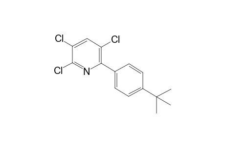 2,3,5-Trichloro-6-(4-tert-butylphenyl)pyridine