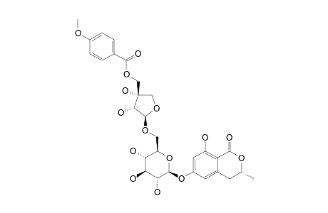 (R)-6-HYDROXYMELLEIN-6-O-BETA-D-[5-O-(4-METHOXYBENZOYL)]-APIOFURANOSYL-(1->6)-BETA-D-GLUCOPYRANOSIDE