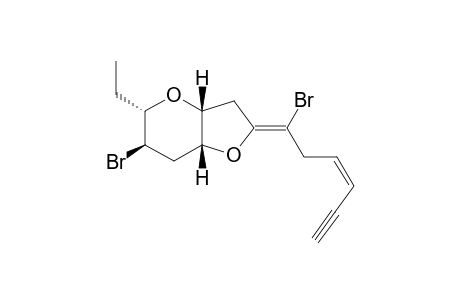 JAPONENYNE-B