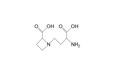 2(S),3'(S)-N-(3-Amino-3-carboxypropyl)-azetidine-2-carboxylic acid