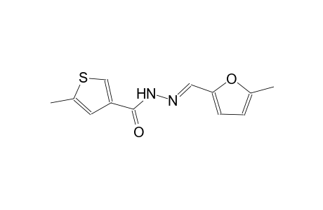 5-methyl-N'-[(E)-(5-methyl-2-furyl)methylidene]-3-thiophenecarbohydrazide