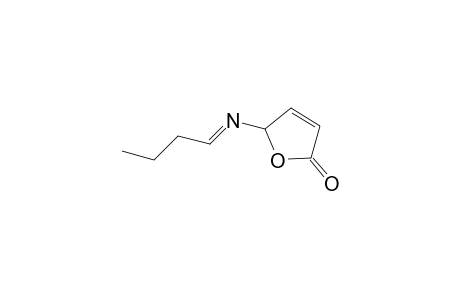 2-[(E)-butylideneamino]-2H-furan-5-one
