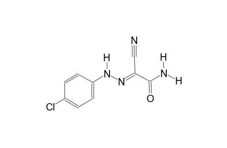 (2E)-2-[(4-chlorophenyl)hydrazono]-2-cyanoethanamide