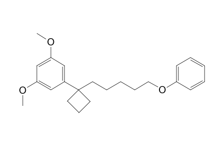 3,5-Dimethoxy-1-[1-(5-phenoxypentyl)cyclobutyl]benzene