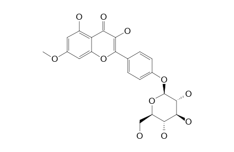 KAEMPFEROL-7-METHYLETHER-4'-BETA-D-GLUCOPYRANOSIDE