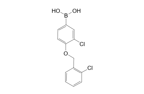 3-Chloro-4-[(2-chlorobenzyl)oxy]phenylboronic acid