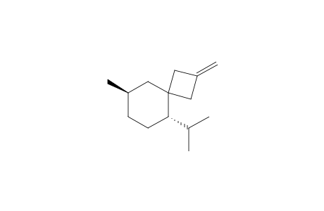 (5S,8R)-5-iso-Propyl-8-methyl-2-methylenespiro[3.5]nonane