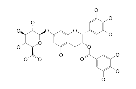 EGCG-7-GLUC;(-)-EPIGALLOCATECHIN-GALLATE-7-GLUCURONATE