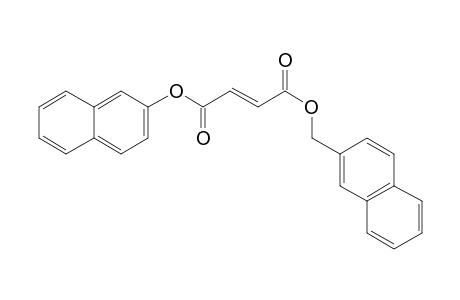 Fumaric acid, naphth-2-yl naphth-2-ylmethyl ester