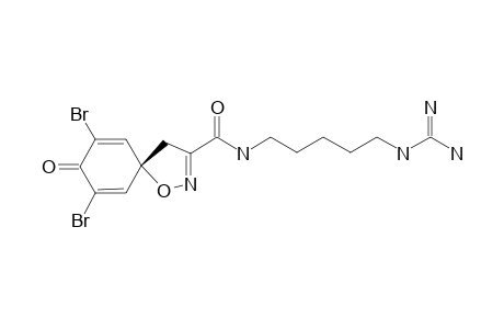 CLAVATADINE_D;N-(5-{[AMINO-(IMINO)-METHYL]-AMINO}-PENTYL)-7,9-DIBROMO-8-OXO-1-OXA-2-AZASPIRO-[4.5]-DECA-2,6,9-TRIENE-3-CARBOXAMIDE