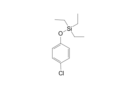 4-Chlorophenol, triethylsilyl ether