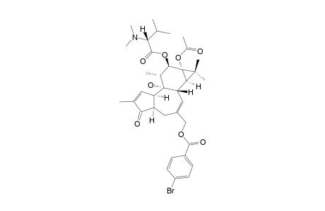 12-O-[(2-R)-N,N-DIMETHYL-3-METHYLBUTANOYL]-20-PARA-BROMOBENZYOL-4-DEOXYPHORBOL_13-ACETATE