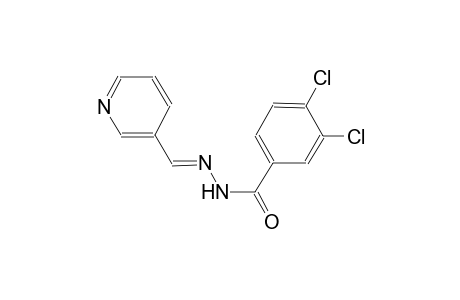 3,4-dichloro-N'-[(E)-3-pyridinylmethylidene]benzohydrazide
