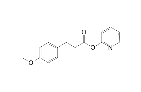 2'-Pyridinyl 3-(p-Methoxyphenyl)-propanoate