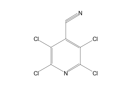 2,3,5,6-Tetrachloroisonicotinonitrile
