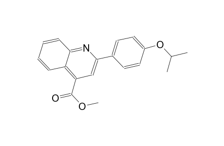 methyl 2-(4-isopropoxyphenyl)-4-quinolinecarboxylate