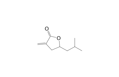 (+-)-4-(2-Methylpropyl)-2-methylene-.gamma.-butyrolactone
