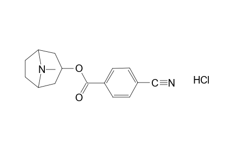 tropan-3-ol, p-cyanobenzoate(ester), hydrochloride