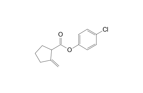 2-Methylenecyclopentan-1-carboxylic acid 4-chlorophenyl ester