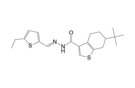 6-tert-butyl-N'-[(E)-(5-ethyl-2-thienyl)methylidene]-4,5,6,7-tetrahydro-1-benzothiophene-3-carbohydrazide
