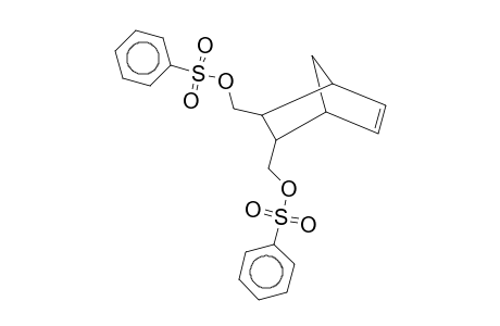 (3-{[(phenylsulfonyl)oxy]methyl}bicyclo[2.2.1]hept-5-en-2-yl)methyl benzenesulfonate