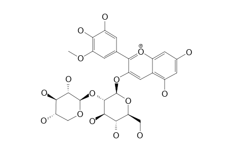 PETUNIDIN-3-O-SAMBUBIOSIDE;PETUNIDIN-3-O-(2''-O-BETA-XYLOPYRANOSYL-O-BETA-GLUCOPYRANOSIDE)