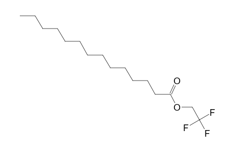 Tetradecanoic acid, 2,2,2- trifluoroethyl ester