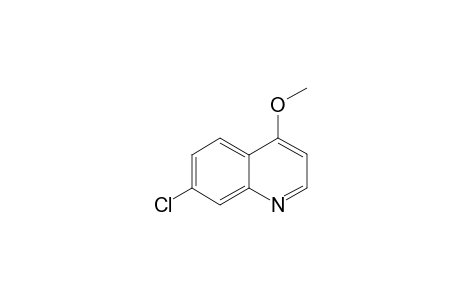 Quinoline, 7-chloro-4-methoxy-