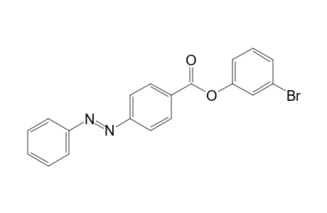 p-phenylazobenzoic acid, m-bromophenyl ester