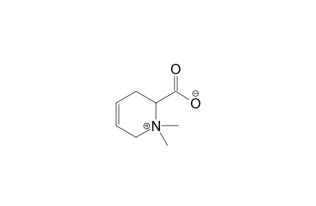 N,N-Dimethyl-1,2,3,6-tetrahydropyridinium-2-carboxylate