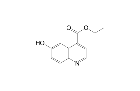 6-Hydroxy-cinchoninic acid, ethyl ester