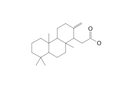 2-(4B,8,8,10A-Tetramethyl-2-methylenetetradecahydrophenanthren-1-yl)acetic acid