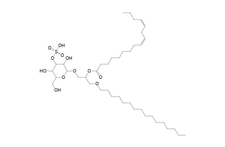 SMGDG O-16:0_16:2