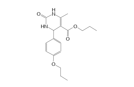 5-pyrimidinecarboxylic acid, 1,2,3,4-tetrahydro-6-methyl-2-oxo-4-(4-propoxyphenyl)-, propyl ester