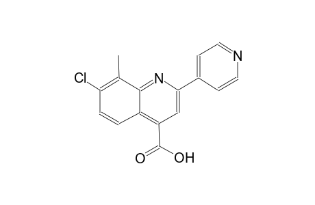 7-chloro-8-methyl-2-(4-pyridinyl)-4-quinolinecarboxylic acid