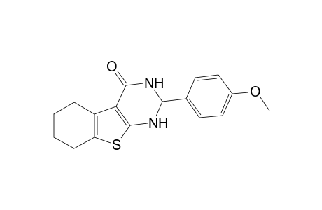 2-(4-Methoxyphenyl)-2,3,5,6,7,8-octahydro[1H]benzothieno[2,3-d]pyrimidin-4(1H)-one