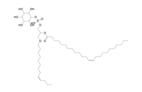 PI O-13:1_24:1