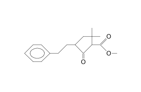 5,5-Dimethyl-2-oxo-3-(2-phenyl-ethyl)-cyclopentanecarboxylic acid, methyl ester