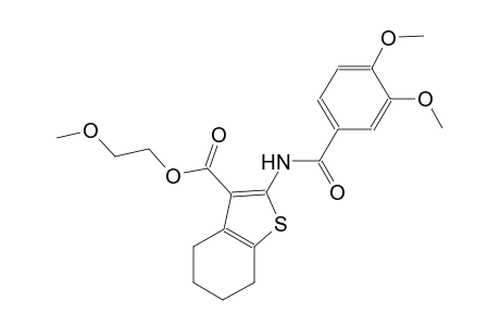 2-methoxyethyl 2-[(3,4-dimethoxybenzoyl)amino]-4,5,6,7-tetrahydro-1-benzothiophene-3-carboxylate