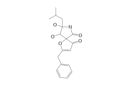 BERKELEYAMIDE_D