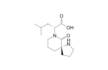 (2R)-4-methyl-2-[(5R)-6-oxo-1,7-diazaspiro[4.5]dec-7-yl]pentanoic acid