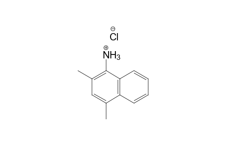 1-Naphthalenamine, 2,4-dimethyl-, hydrochloride, salt