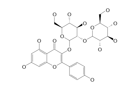KAEMPFEROL-3-O-[(1'''->2'')-GLUCOPYRANOSYL-GLUCOSIDE]
