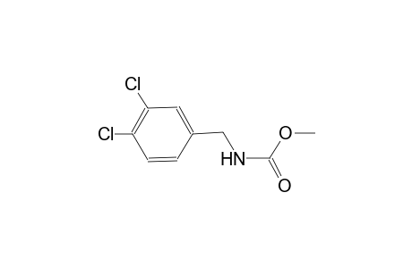 methyl 3,4-dichlorobenzylcarbamate